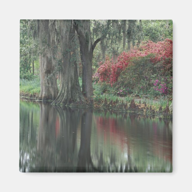 South Carolina, Charleston Magnet (Vorne)