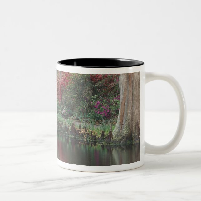 South Carolina, Charleston Zweifarbige Tasse (Rechts)