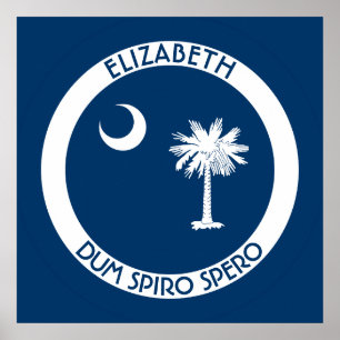 South Carolina die Palmetto-Staats-persönliche Poster