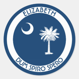 South Carolina die Palmetto-Staats-persönliche Runder Aufkleber