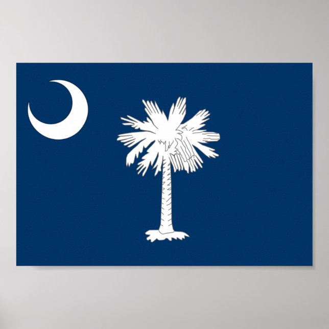 South Carolina Flag Poster (Vorne)