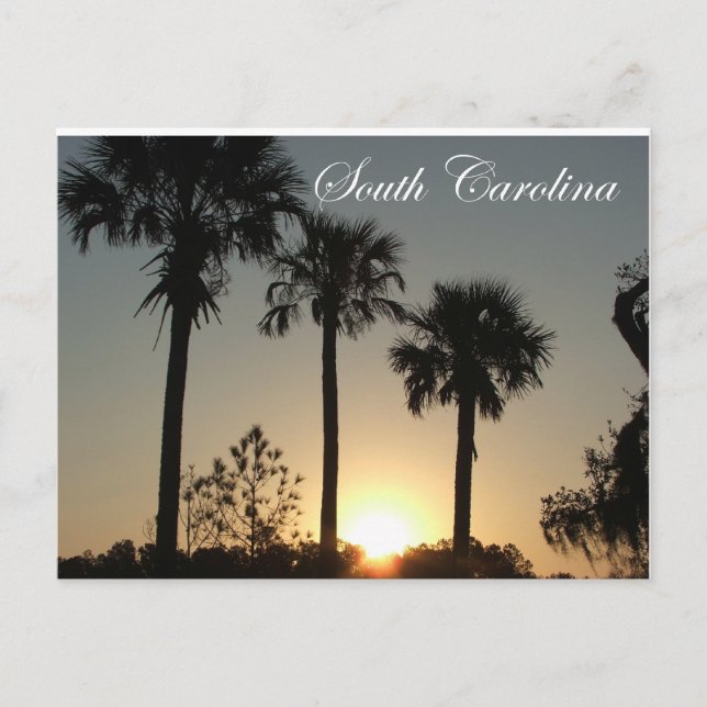 South Carolina Palmetto Sunrise Postkarte (Vorderseite)