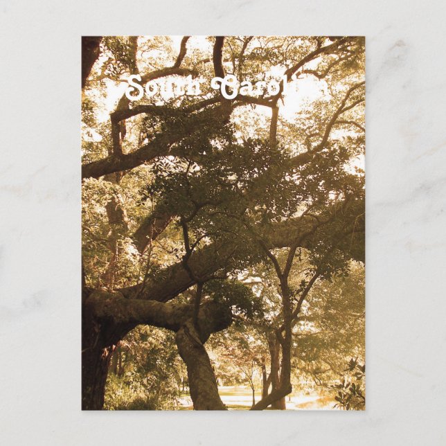 South Carolina Postkarte (Vorderseite)