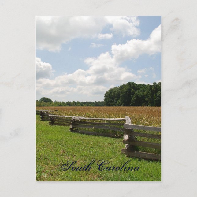 South Carolina Postkarte (Vorderseite)