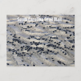 South Carolina - Snail Mail 2 Postkarte