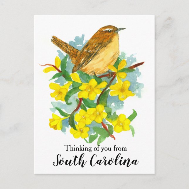 South Carolina Wren Bird denken Sie an Sie Postkarte (Vorderseite)