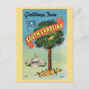 South Carolinas Cabbage Palm Postkarte