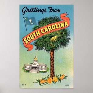 South Carolinas Palmetto-Palme 11x17 Druck Poster