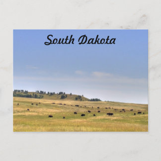 South Dakota Postkarte
