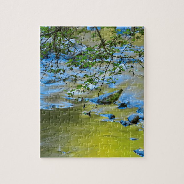 South Fork Wilson River, Oregon (Vertikal)