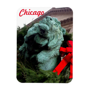 South Lion am Art Institute of Chicago Magnet