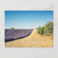 South of France