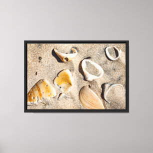 South Padre Island, Sand & Muscheln Leinwanddruck