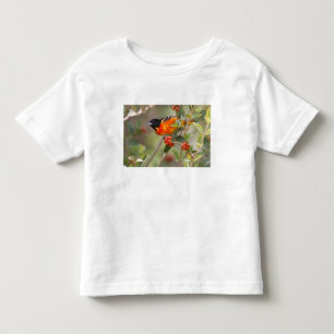 South Padre Island, Texas, USA, Baltimore-Trillvog Kleinkind T-shirt