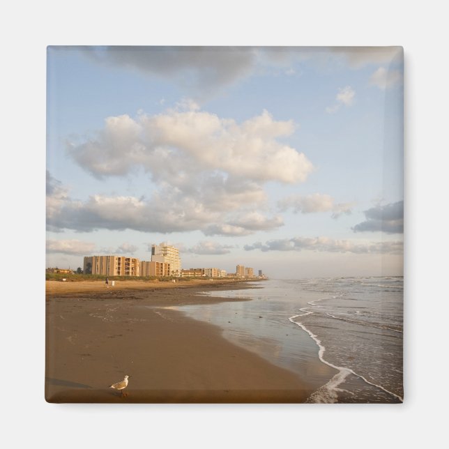 South Padre Island, Texas, USA - Resorts Magnet (Vorne)