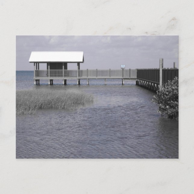 South Padre Postkarte (Vorderseite)