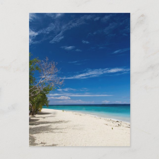 South Sea Island Beach, Fidschi Postkarte (Vorderseite)