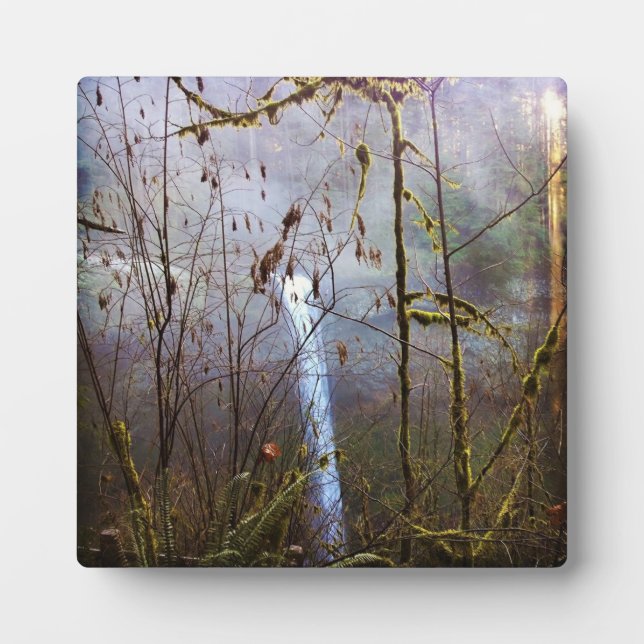 South Silver Falls, OR Fotoplatte (Vorderseite)