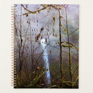 South Silver Falls, OR Planer