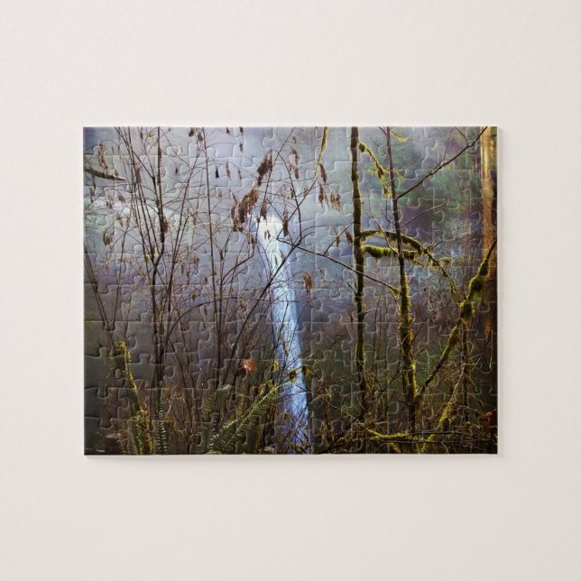 South Silver Falls, Oregon (Horizontal)