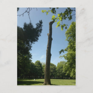 Southampton Postkarte