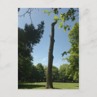 Southampton Postkarte