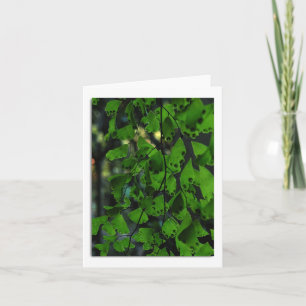 Southern Maidenhair Fern Note Card Dankeskarte