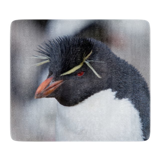 Southern Rockhopper Penguin Schneidebrett (Vorderseite)