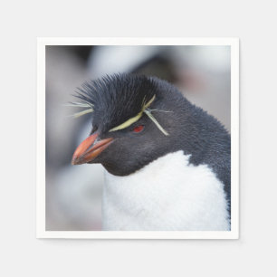 Southern Rockhopper Penguin Serviette