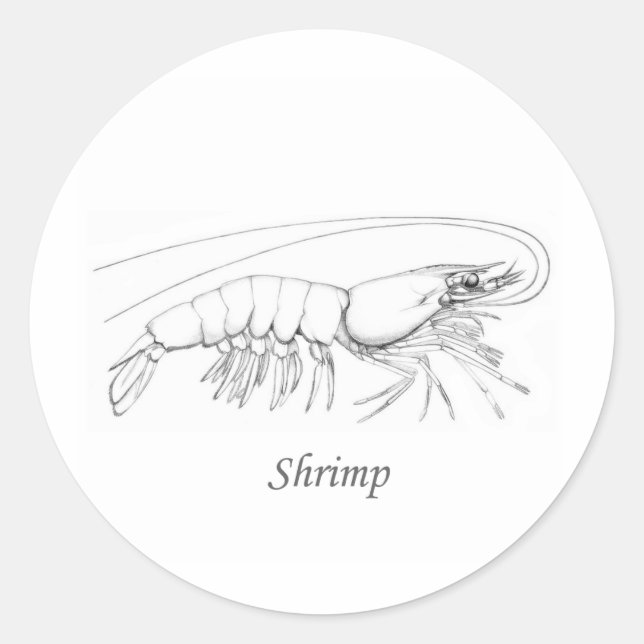 Southern Shrimp Line Art Logo Runder Aufkleber (Vorderseite)