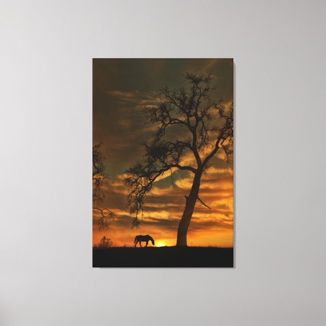 Southwestern Fine Art Horse Fotografy Leinwand (Vorderseite)