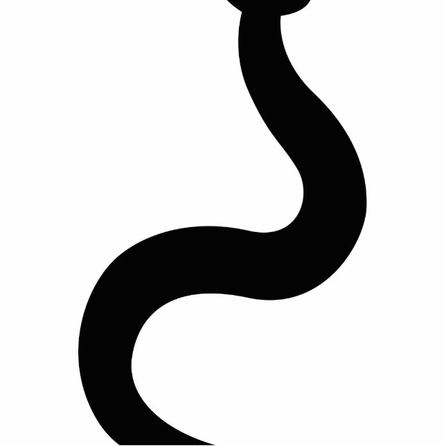 Southwestern Snake Freistehende Fotoskulptur (Vorne)