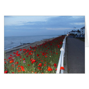 Southwold et les pavots à la carte blanche du crép