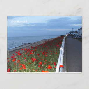 Southwold Poppies Dusk Postkarte