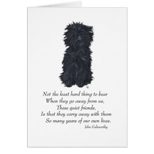 Souvenir Affenpinscher