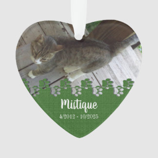 Souvenir commémoratif de l'animal de compagnie Kee