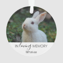 souvenir d'amour photo animal de compagnie mémoria