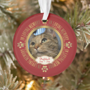 Souvenir de chat en mémoire affectueuse Mémorial