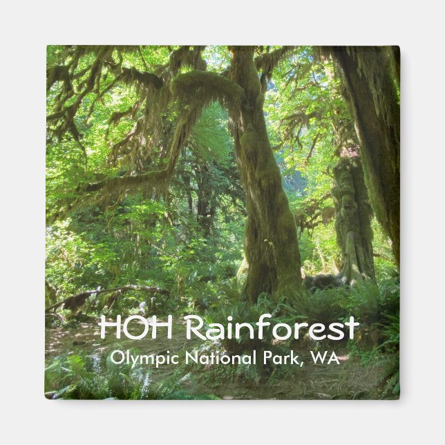 Souvenir Magnet—Hoh Rainforest, Olympic NP Magnet (Vorne)