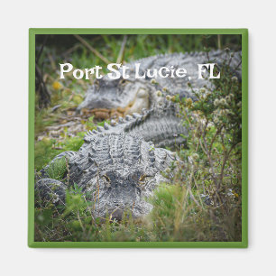 Souvenir-Magnet Magnet
