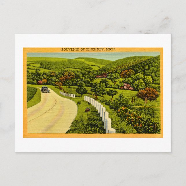 Souvenir von Pickney, MI Vintag Postkarte (Vorderseite)