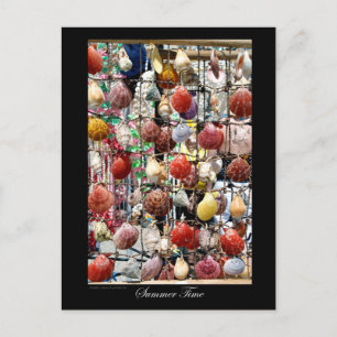 Souvenirs-Muscheln in Paphos Zypern Postkarte