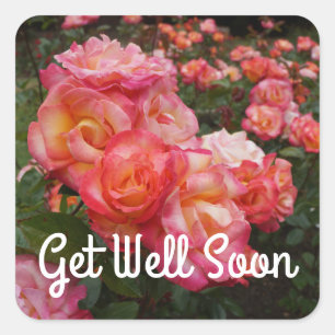 Soyez bien Bientôt Rainbow Sorbet Rose #4 Stickers