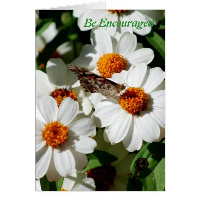 Soyez encouragé (Devant)