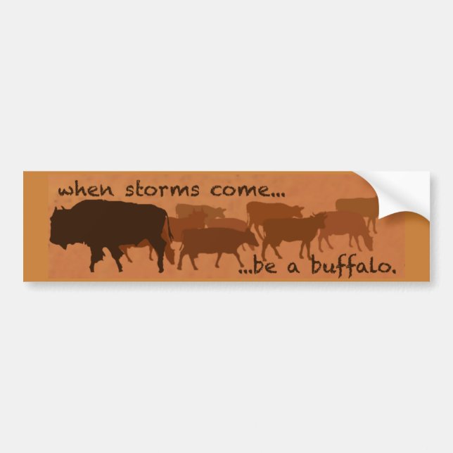 Soyez un autocollant de pare-chocs Buffalo (Devant)