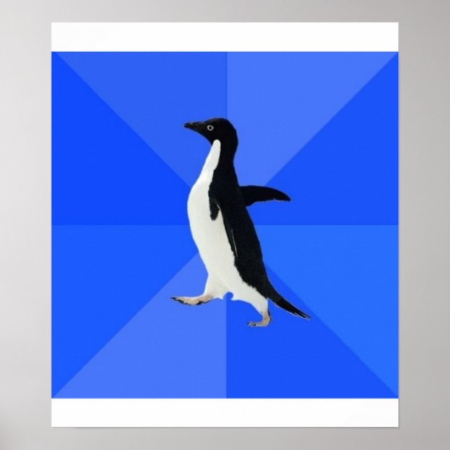 Sozial Awkward Pinguin Ratschläge Tiermeme Poster (Vorne)