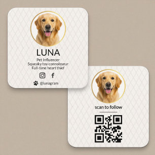 Sozial Media QR Code Gold Hund Haustier Elegant Fo Quadratische Visitenkarte