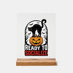 Soziales Halloween-Katz-gruselig-Party-Humor-Desig Acrylschild