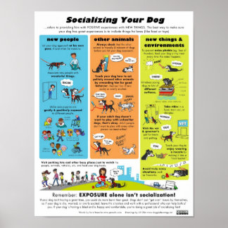 Sozialisierung Ihres Hundes Poster