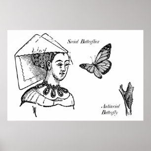 Sozialschmetterlinge Poster